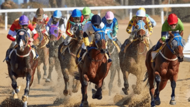 How do you determine the appropriate race distance for a horse?