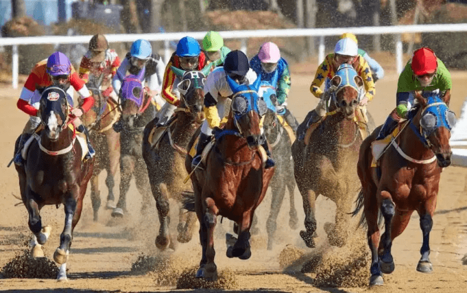 How do you determine the appropriate race distance for a horse?