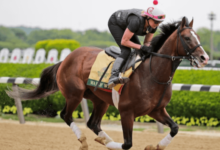 What are the key differences in training a horse for flat racing versus jump racing?