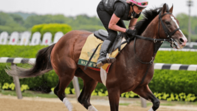 What are the key differences in training a horse for flat racing versus jump racing?