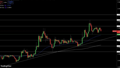 Why Accurate XRP Price Calculators Are Crucial for Successful Trading