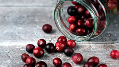 Dried Cranberries vs. Fresh: What’s the Difference and Which Should You Choose?