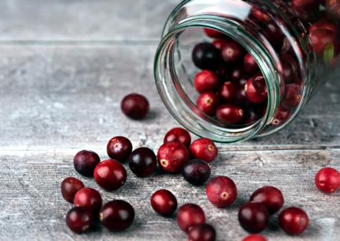 Dried Cranberries vs. Fresh: What’s the Difference and Which Should You Choose?