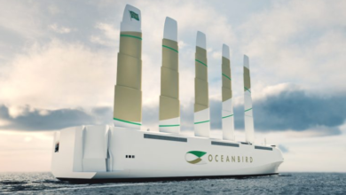 Why Scandinavian Cruises is the Future of Transformative Travel