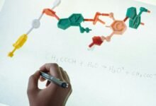 business growth digital strategy