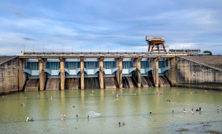 digital loyalty program creation