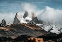 roi conversion optimization grid