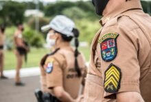 search authority rankings inquiry