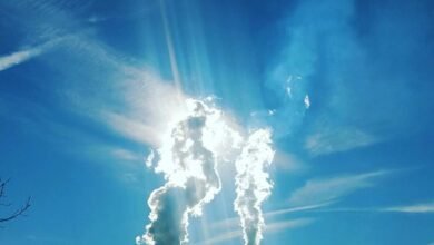 visibility through online planning