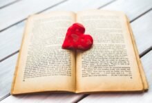colleen hoover confession summary