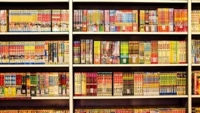 light novel vs manga comparison